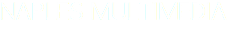 NAPLES MULTIMEDIA 